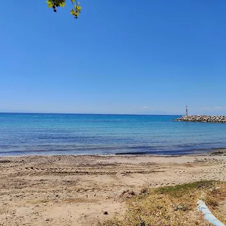 Electra's Front In Apartment *