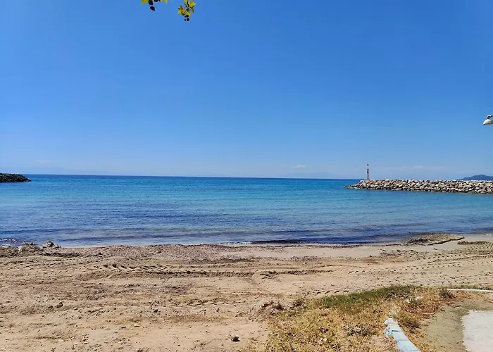 Electra's Front In Apartament *